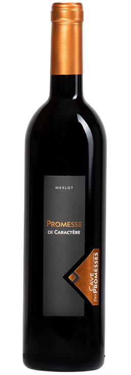 Merlot "Promesse de caractère"