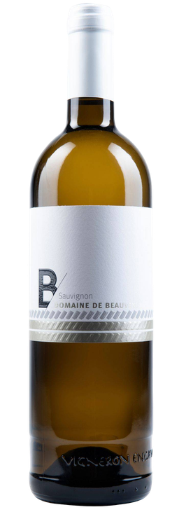 Sauvignon 1er Cru Tradition