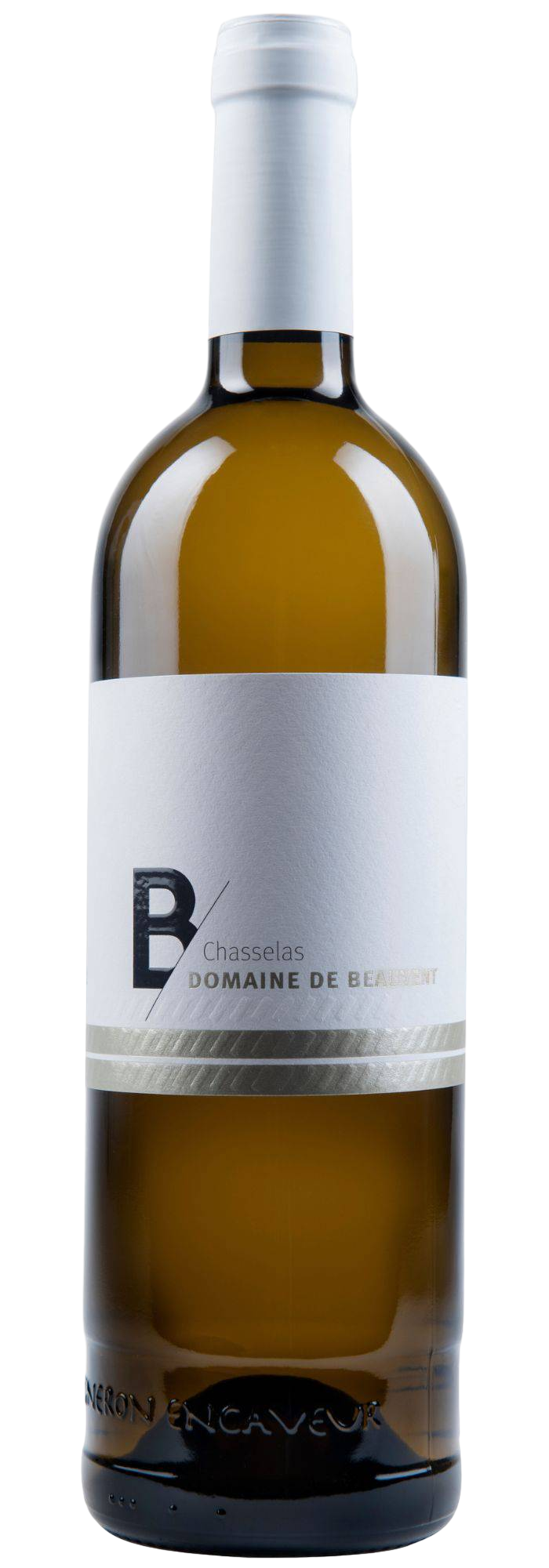 Chasselas