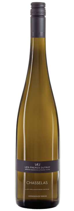 Chasselas, Domaine de la Treille