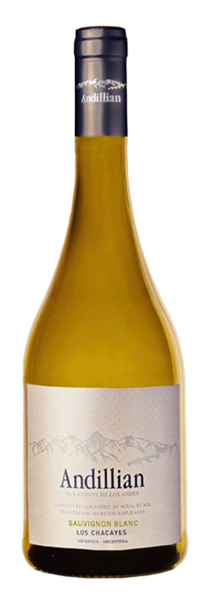 Andillian Los Chacayes Sauvignon Blanc