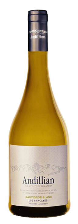 Andillian Sauvignon blanc