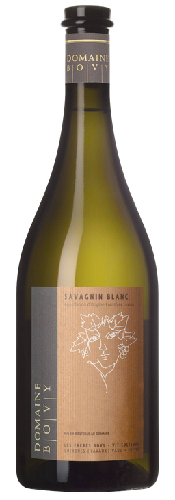 Savagnin