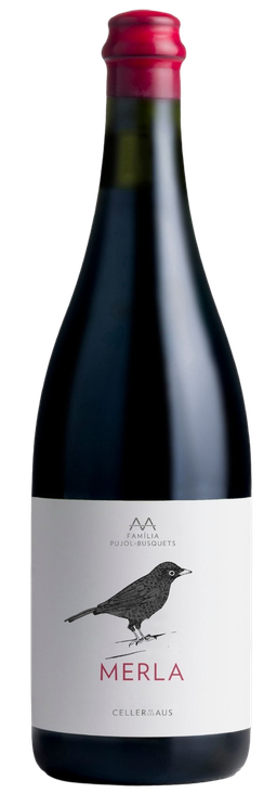 Merla Celler de les Aus