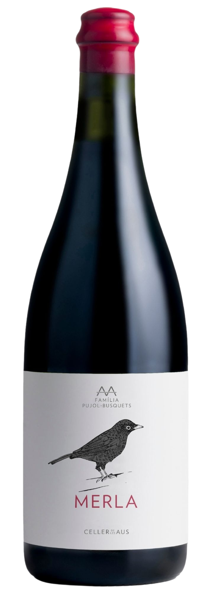 Merla Celler de les Aus