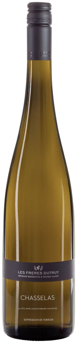 Chasselas, Domaine de la Treille