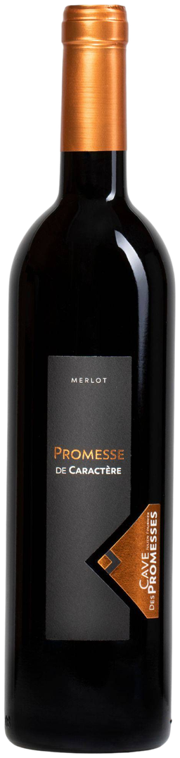 Promesse de Caractère