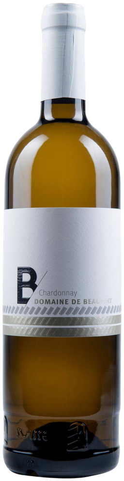 Chardonnay Tradition