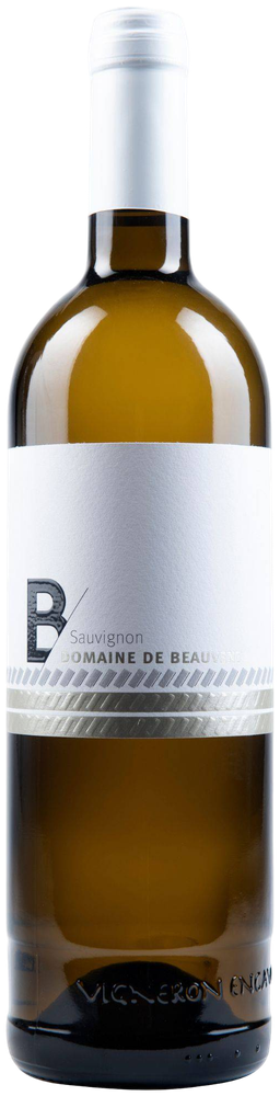 Sauvignon 1er Cru Tradition