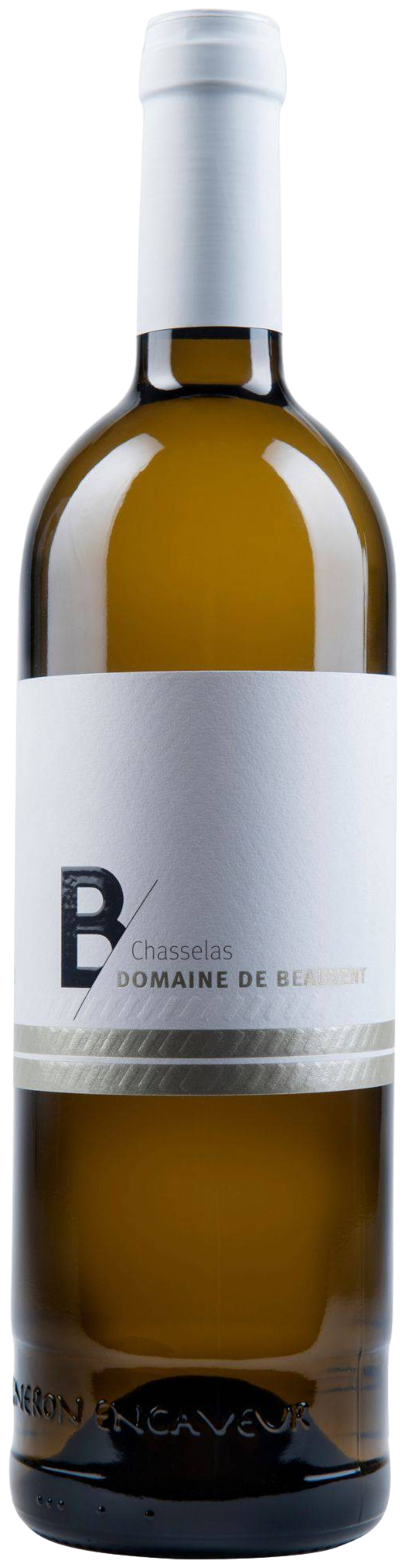 Chasselas