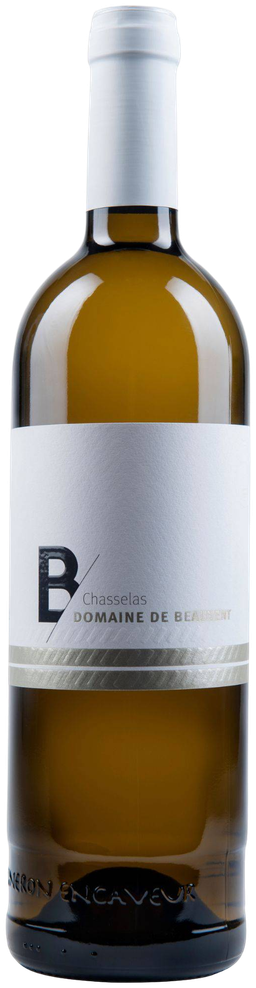 Chasselas