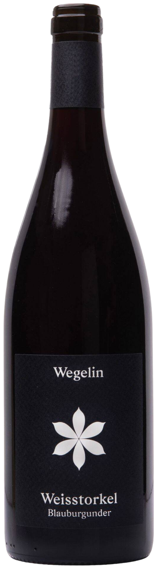 Weisstorkel Blauburgunder